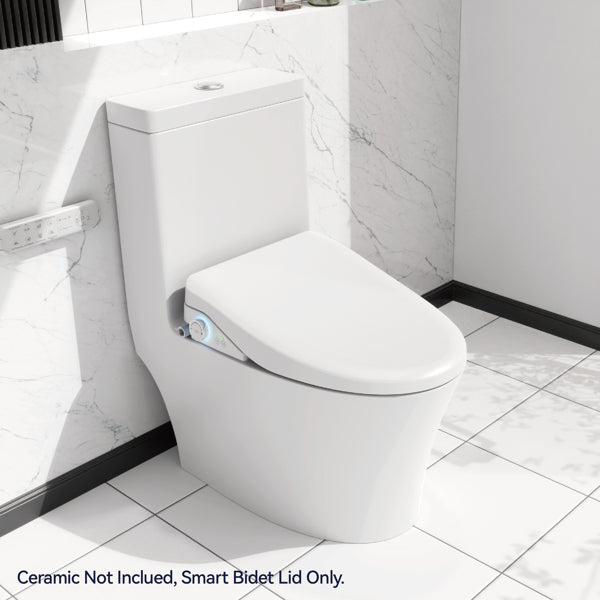 Smart Bidet Toilet Seat with Remote - Heated Seat, Warm Water Wash, Dryer & Self-Cleaning Nozzle