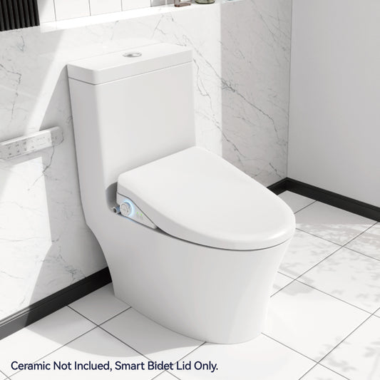Smart Bidet Toilet Seat with Remote - Heated Seat, Warm Water Wash, Dryer & Self-Cleaning Nozzle