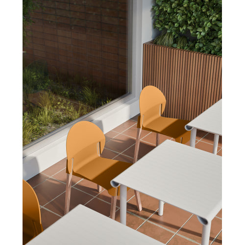 Modern Sculptural Stackable Dining Chairs Set of 4 - Loop Design Polypropylene Chairs with Solid Oak Legs