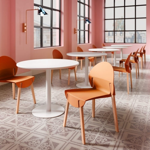 Modern Sculptural Stackable Dining Chairs Set of 4 - Loop Design Polypropylene Chairs with Solid Oak Legs